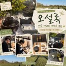 서광자연 | [제주/오설록] 숙성실 필수 후기! 서귀포 데이트 코스, 서광차밭 포토존, 차 추천까지🌿