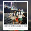 아기강아지 | 내돈내산 부산 해운대 광안리 요트투어 아기와 강아지 탑승후기