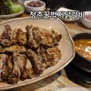 청춘꿀벅지닭갈비 이미지