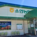 세븐일레븐 완도소안도점 이미지