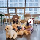 카페몽몽 이미지