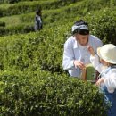 보성핸드폰 이미지