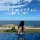 카페캐빈(Cafe Cabin) | 기장 아난티 앳 부산 코브 캐빈 Cabin B 포레스트뷰 2박 후기｜아난티 코브 차이·캐빈 종류·시설 총정리