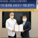 에스디에이