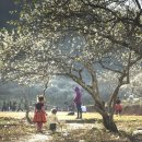 자연체계-산 이미지