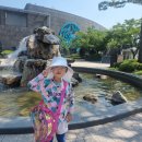 슈즈앤워시 이미지