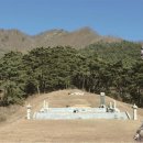 대조-006 이미지