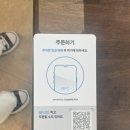 [연남/마포구] 연남 벚꽃길 야장 아시아 퓨전요리 맛집 범밤부 후기!