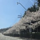 수출대로-39 이미지