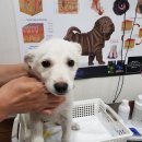 기업은행 남구로 이미지