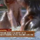 갤러리하마 이미지