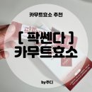 [ 팍쎈다 ] 카무트효소 : 카무트효소추천