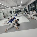Dream of Judo 태평유도관 이미지