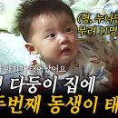 1부🎬 11명의 다둥이 집에 태어난 귀한 12번째 귀염둥이 아들✨ 우리 잘 키울 수 있겠지? 이미지