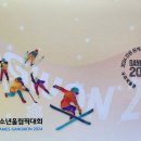 2024 강원 동계청소년올림픽 이미지