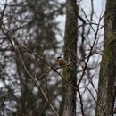 추모공원B(2단지-A동) | 상반기 시작일, 길벗따라 #161 : 사가정역~사가정공원~용마산스카이워크전망대~망우역사문화공원~양원역