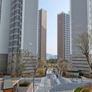 단봉초등학교 앞 사거리 이미지