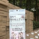 //미세먼지 대응//대전시, 황사마스크 17,100개 기증 - 조영자 기자 이미지