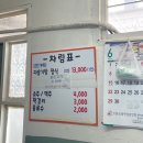 🍽️ 임실맛집! 어르신들 줄세우는 다슬기탕정식맛집 [청웅식당]