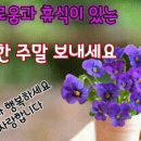 앙상블 노래연습장 네이버블로그