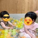 동카름 제주한달살기 20일차 - <b>동카름</b>, 비자숲힐링센터, 표선얼큰이와피자디노