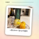 GS25 제기정화점 | 감성! 니혼슈코리아 쉴드쇼비뇽블랑, 드라이 화이트와인으로 홈파티 분위기 UP! (feat. GS25 추천 와인)