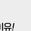 시티내과 네이버블로그