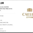 상지통신 이미지