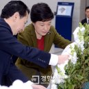 헌화 경향신문