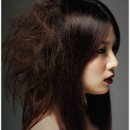 헤어in 이미지