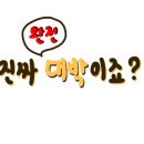 인셀덤예