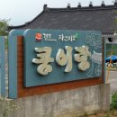 콩이랑 이미지