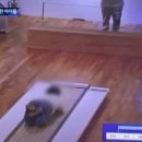 카페솔거랑 이미지