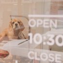 프랑소와펫(압구정점) 이미지