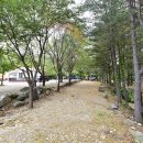 계곡풍경캠핑장 이미지