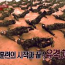 정직한 FIT 이미지