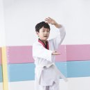 특사태권도