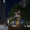 지에스25 영등포아크로점 이미지