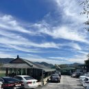 시골집영양탕토종닭 이미지