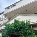 충무로5길 | 충무로 라비두스 웨딩 하객 후기 | 야외예식, 주차, 셔틀, ATM, 식사, 2부 예식 총정리 🍃