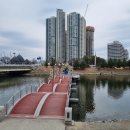 데일리랜드 | 춘천 출렁다리 사이로248 주말 당일치기 경춘선 여행지 추천