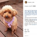 랑독 | 랑독 리그램이벤트 후기