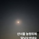 산너울농원 Daum카페