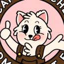 카페트라슈 이미지