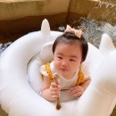새사랑농원 | [내돈내산]장성 백숙 추천 장성 남창농원 평상 명당부터 주차, 화장실 솔직 단점까지 낱낱이 파헤치기