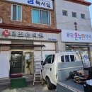 제주캐노픽스 이미지