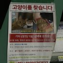 삼호빌라트 이미지