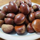 늘밤농원 이미지