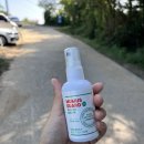 강릉 산책가기 좋은 칠봉산 등산