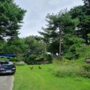 설악파인힐펜션 이미지